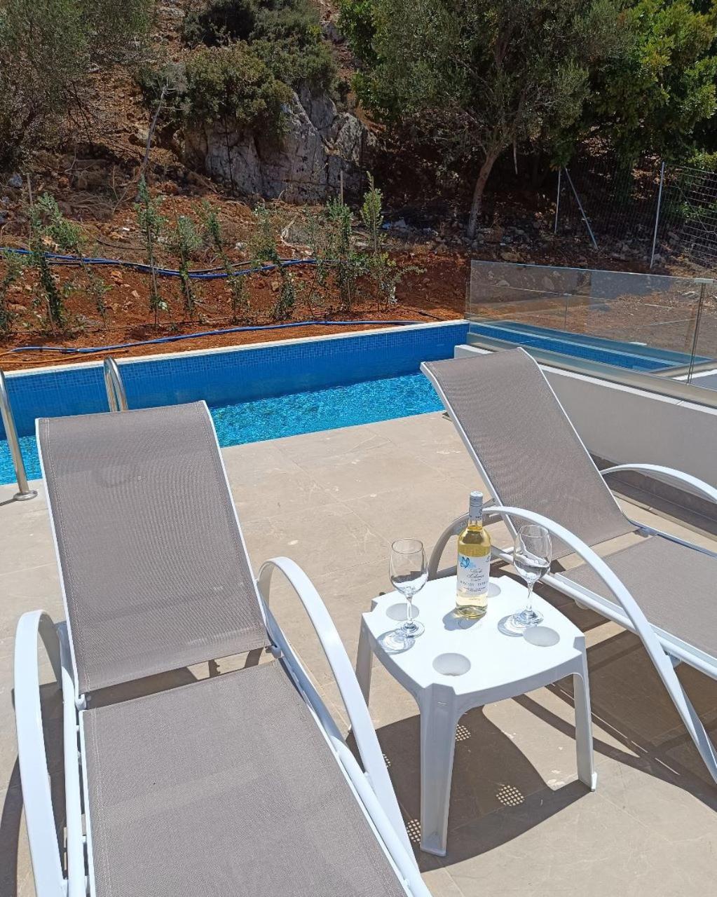 Isabel Artemis Crete - Luxury Sea Views Villas Nopigia Zewnętrze zdjęcie
